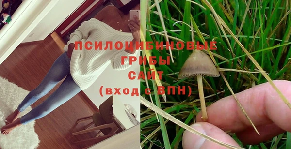 ГАЛЛЮЦИНОГЕННЫЕ ГРИБЫ Елабуга