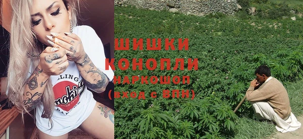 ГАЛЛЮЦИНОГЕННЫЕ ГРИБЫ Елабуга