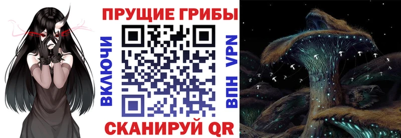 Галлюциногенные грибы Psilocybe цена наркотик Калининград